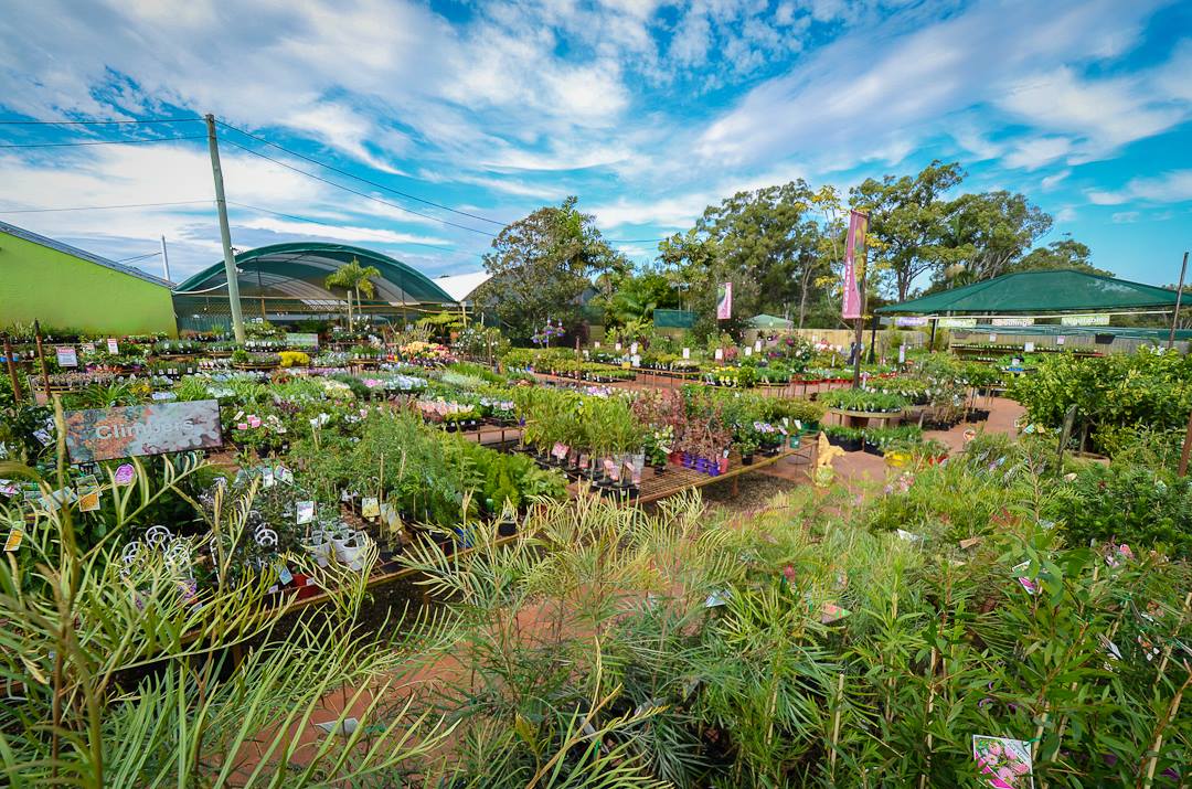 garden center in Redlands