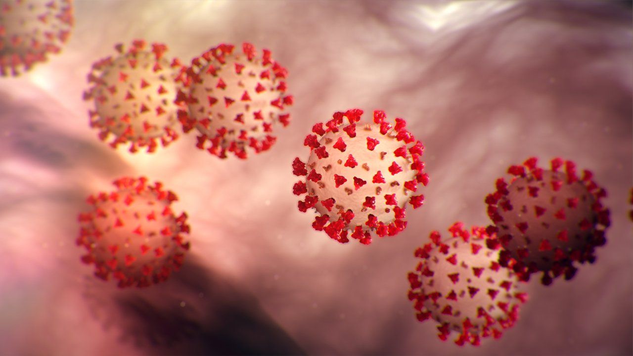 Coronavirus COVID-19