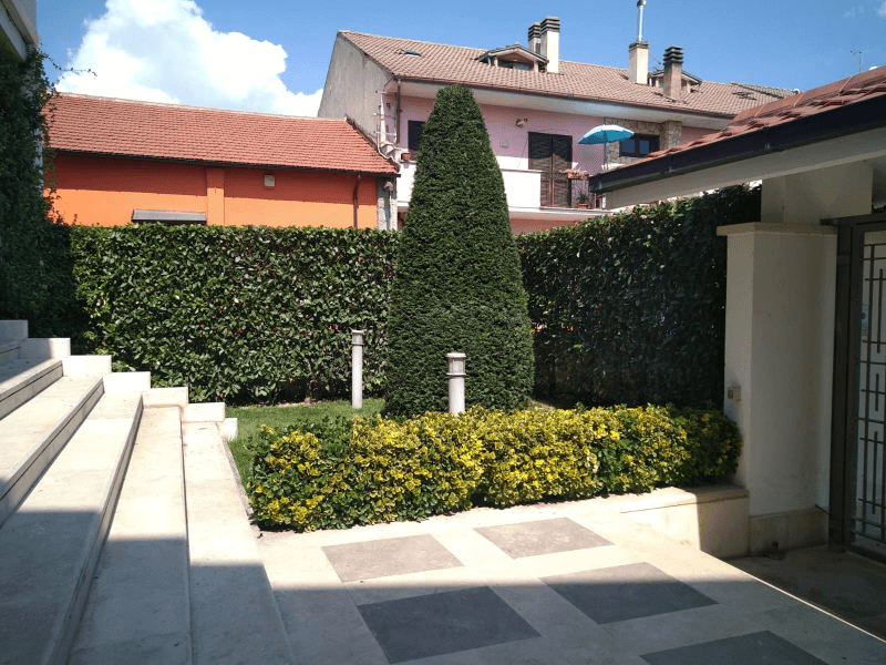 cura del giardino