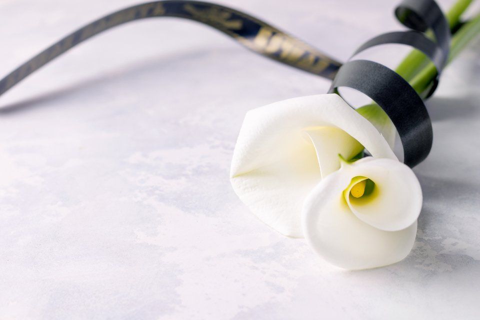 Fiore bianco