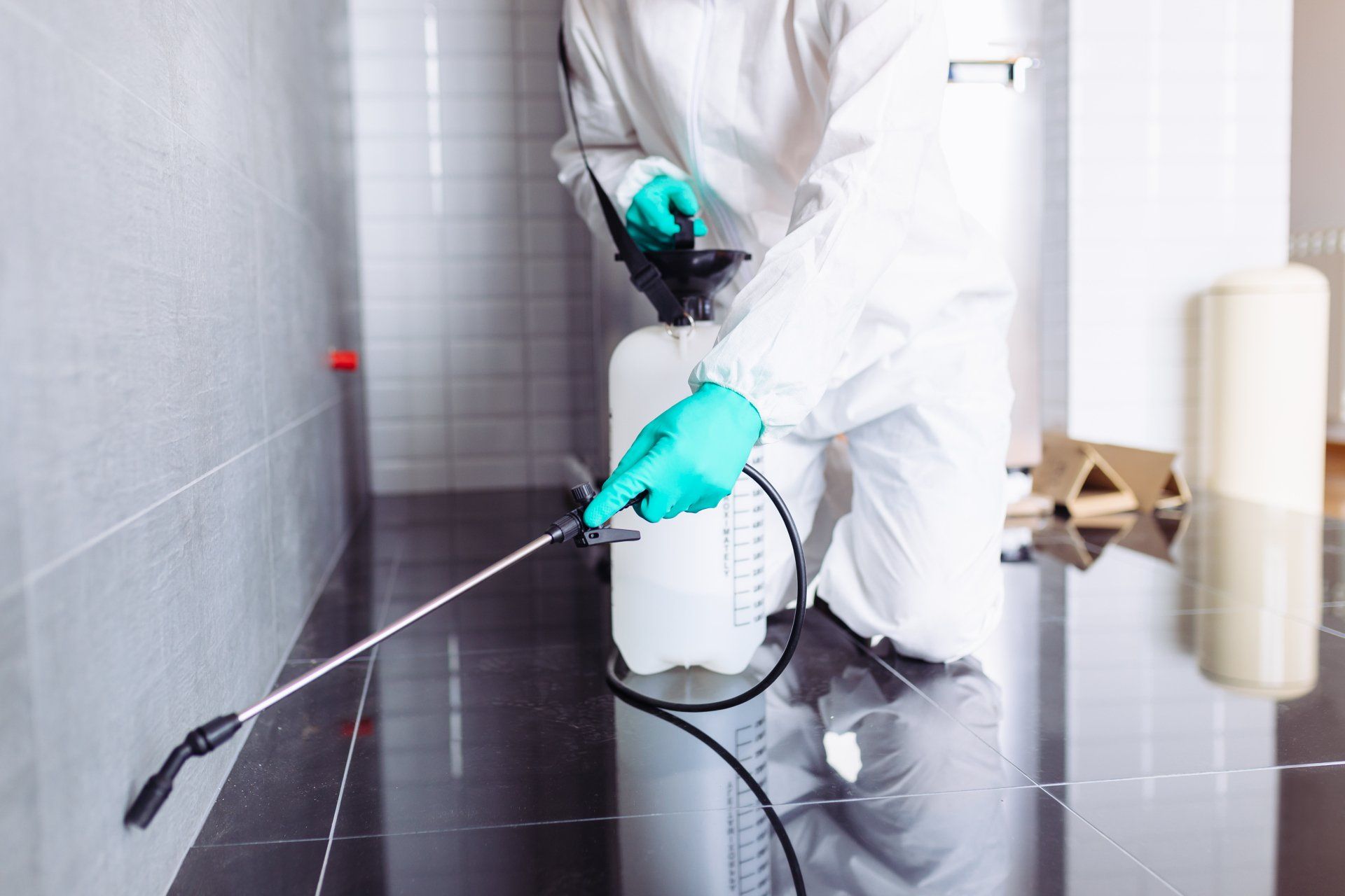 Pesticide is Sprayed in the Corner — Brett Edwards Pest Services in North Arm Cove, NSW