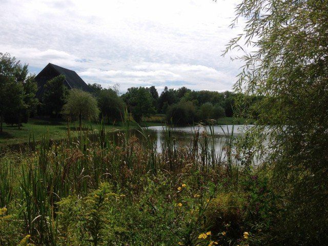 Small Pond