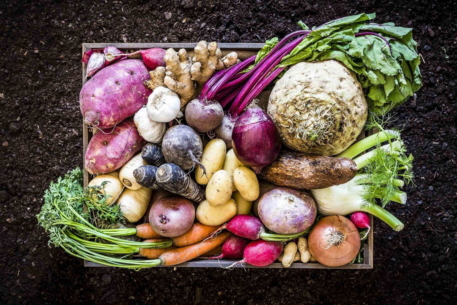 farmers market vegetables