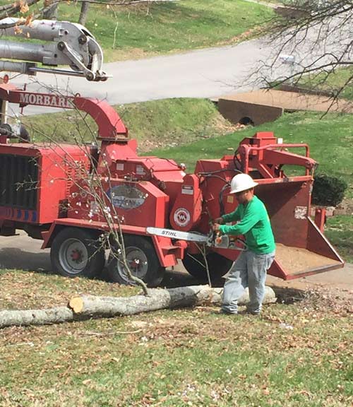 Tree Protection — Red Wood Chipper Grinds in Nashville, TN
