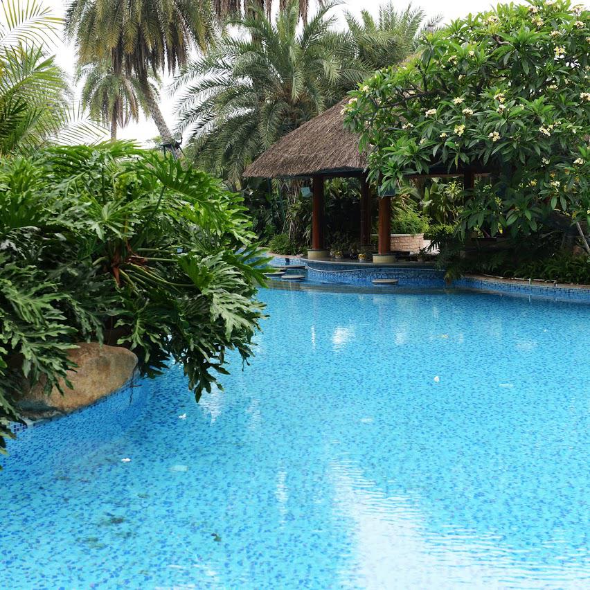 Trees Near The Pool — Nashville, TN — Kaily's Tree Service