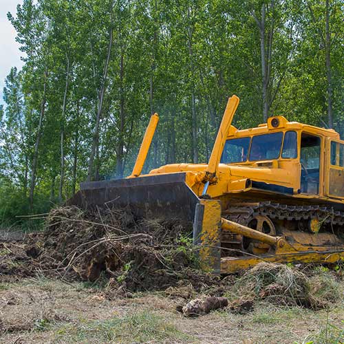 Land Cleaning Service Nasville, TN Land Cleaning Service Nasville, TN