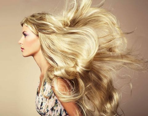 Best Hair Care Products - hair cut, hair,salon, makeover in Greeley, CO