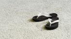 results of carpet cleaning in Latrobe Valley and West Gippsland
