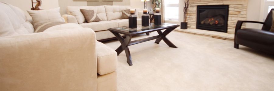 Carpet and upholstery cleaning specialists in Latrobe Valley and West Gippsland