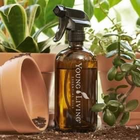 A bottle of young living essential oil spray next to potted plants