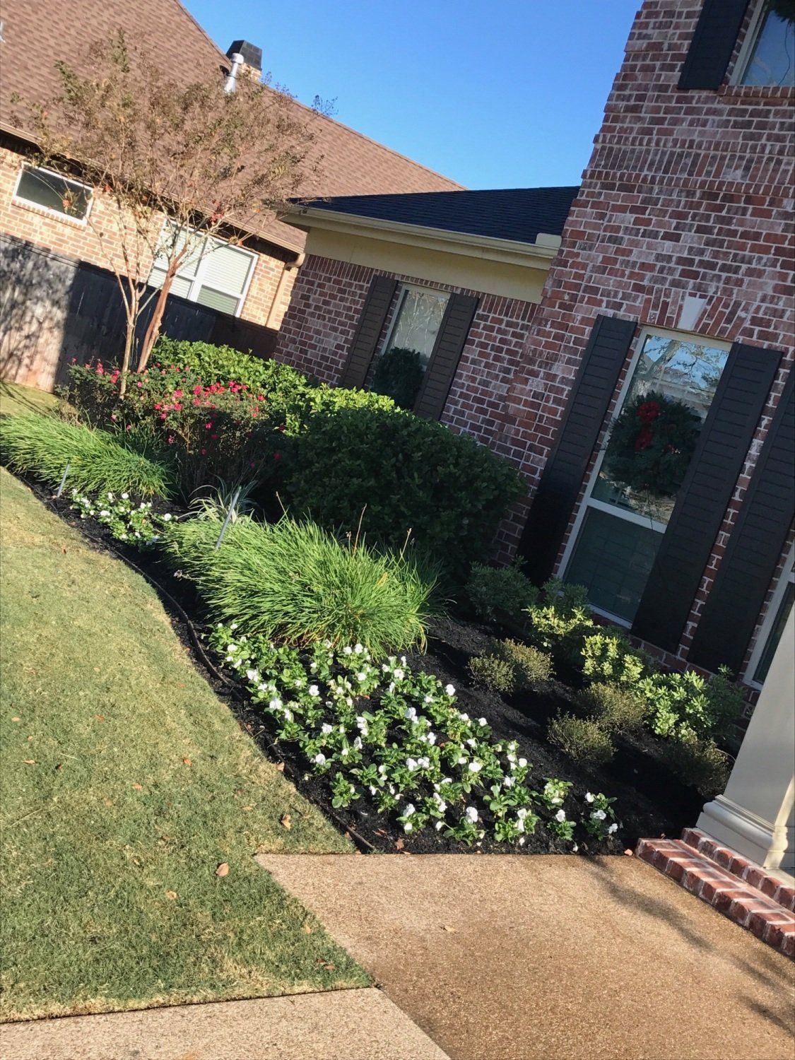 Home garden