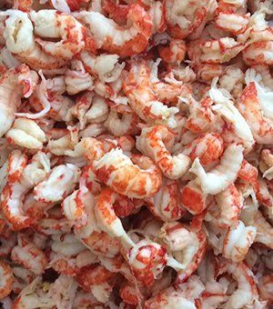 seafood