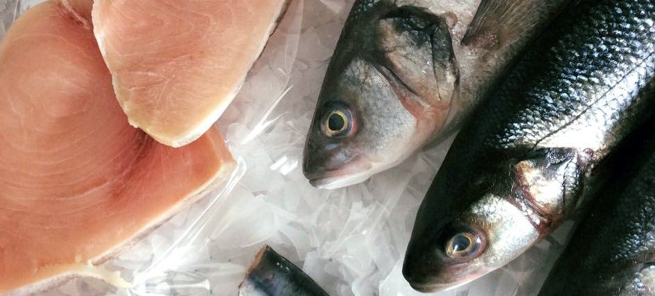 fresh fish