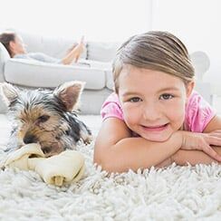 Dog and Little Girl on The Carpet — Gilbert AZ — All State Carpet & Tile Care Dog and Little Girl on The Carpet — Gilbert AZ — All State Carpet & Tile Care