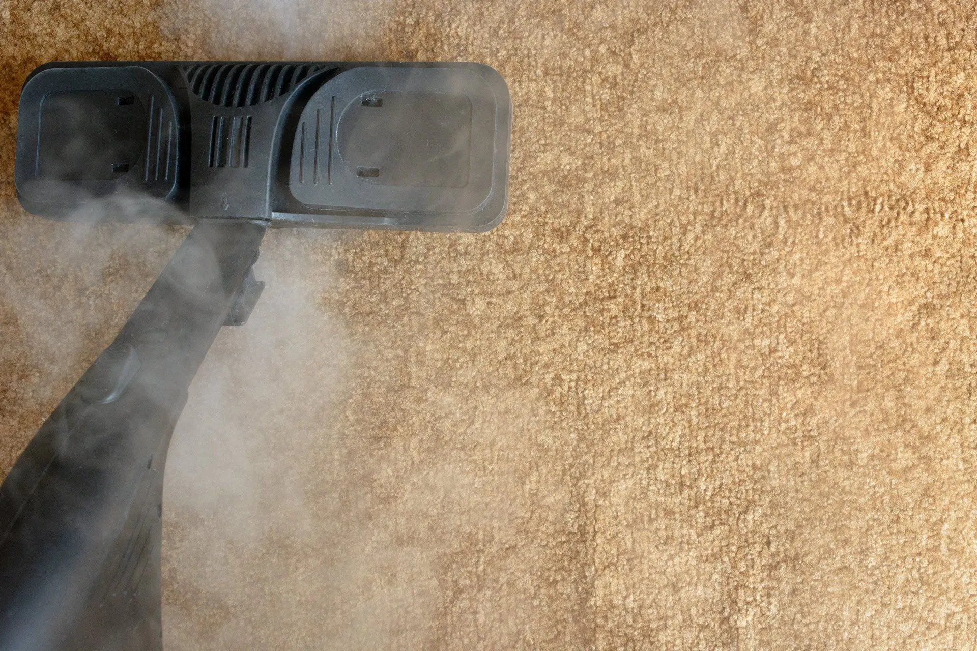 Carpet Steam Cleaner — Gilbert, AZ — All State Carpet & Tile Care Carpet Steam Cleaner — Gilbert, AZ — All State Carpet & Tile Care