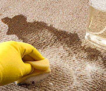 Cleaning The Stain on Carpet — Gilbert AZ — All State Carpet & Tile Care Cleaning The Stain on Carpet — Gilbert AZ — All State Carpet & Tile Care