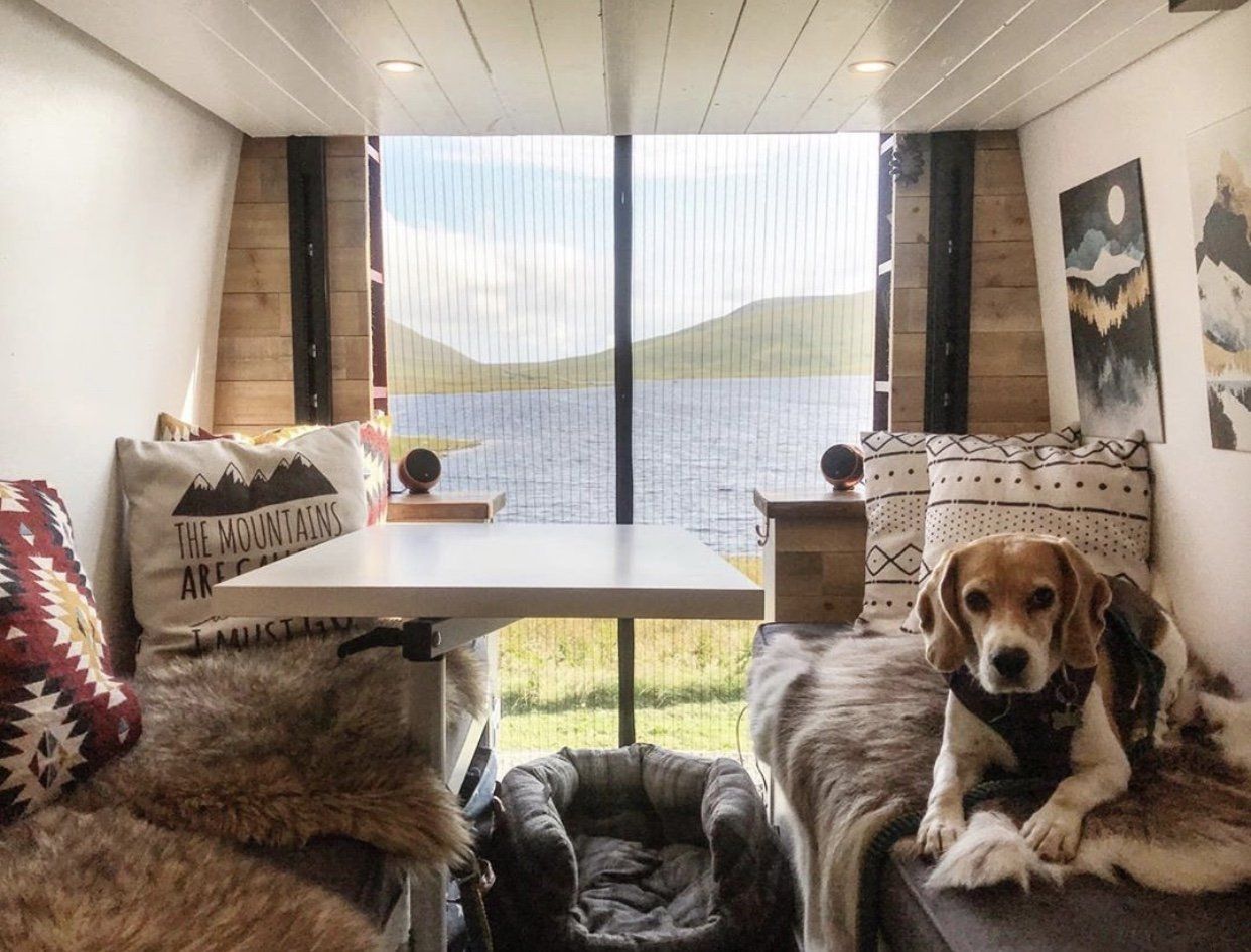 Van Life With A Doggo