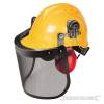 Forestry Helmet