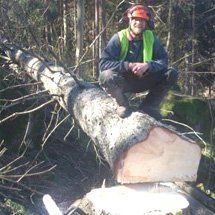 Tree specialists