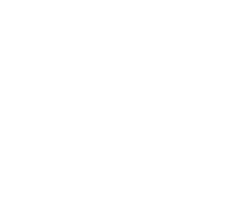 Web Design Exeter Speek