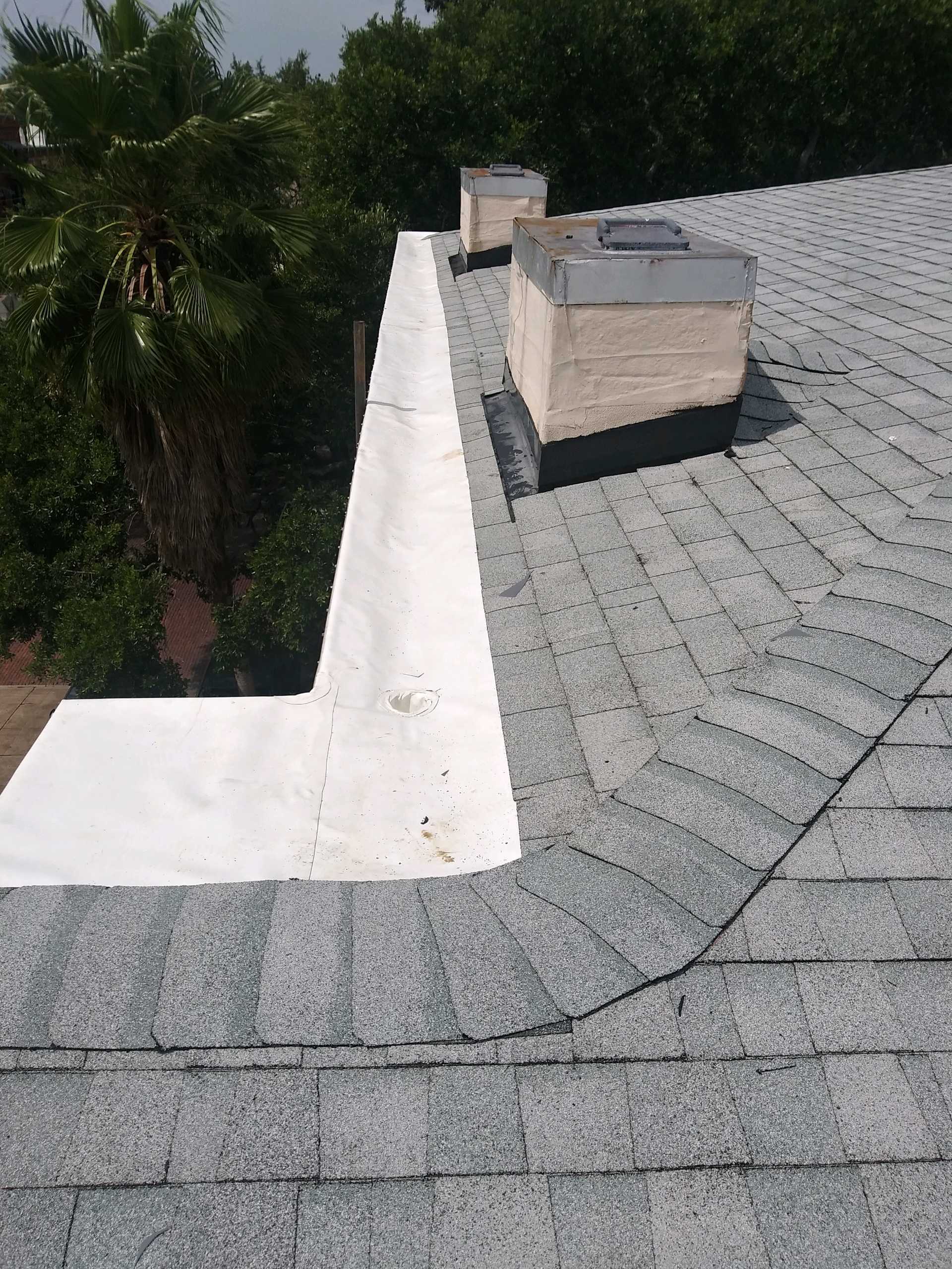 Asphalt Shingle Roof 
