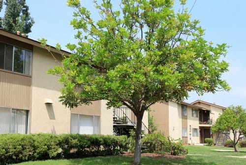 Exterior of a two story apartment building with green grass outside, trees, and a sidewalk.