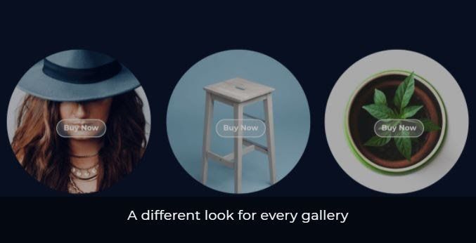 A hat, chair, and plant in a circle frame with buy now over each product