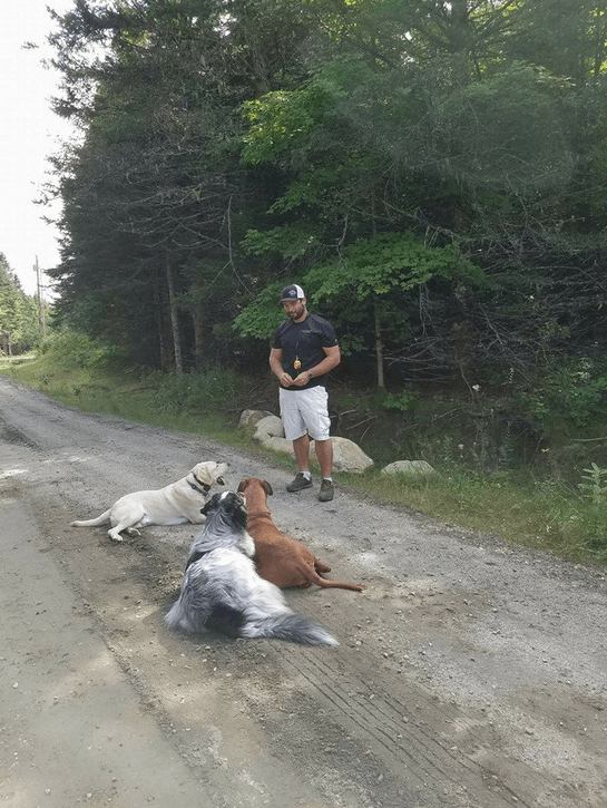Man in shorts stands on dirt road with four dogs. Trees in background.
