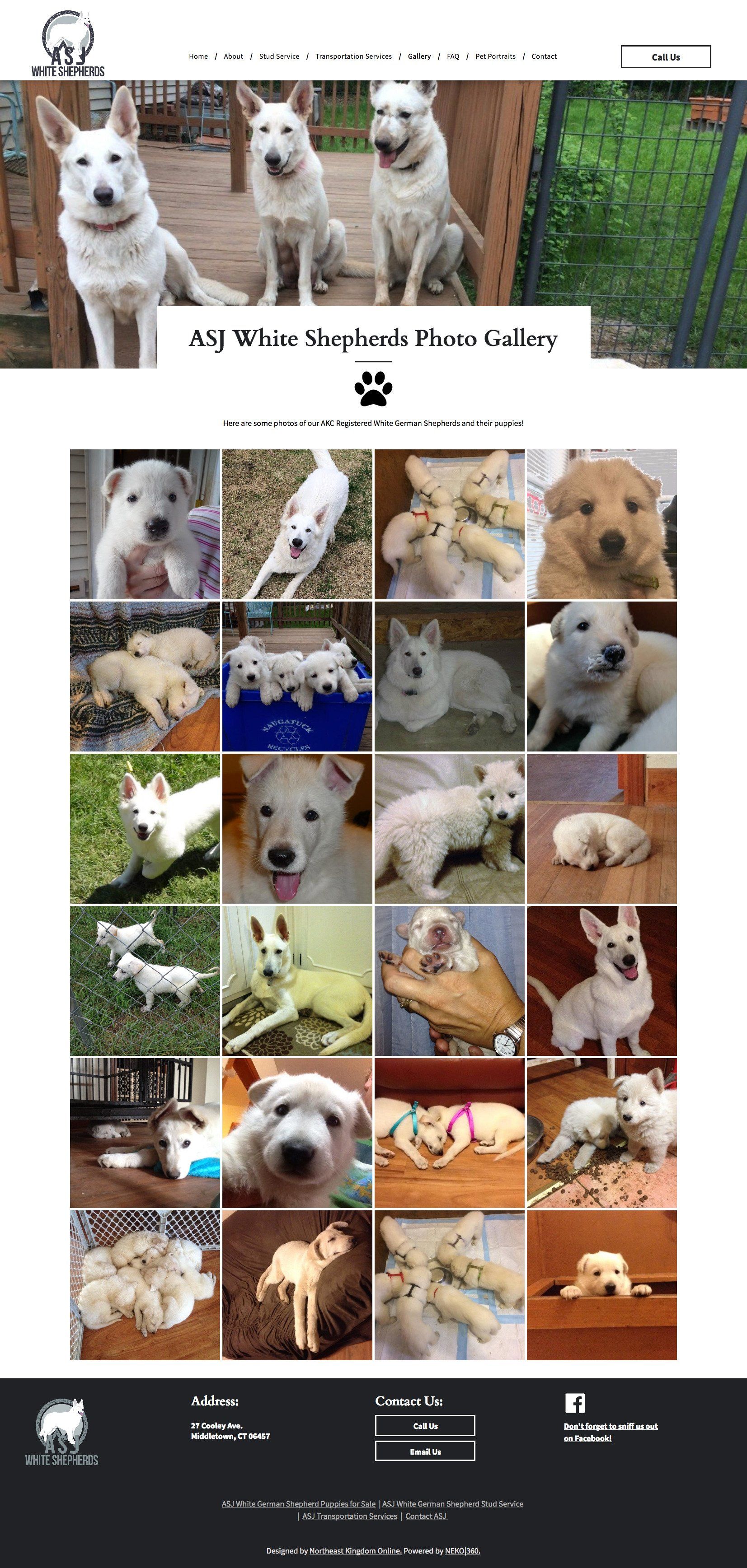 Website with photos of white dogs, with top banner of 3 dogs and grid of dog photos below.