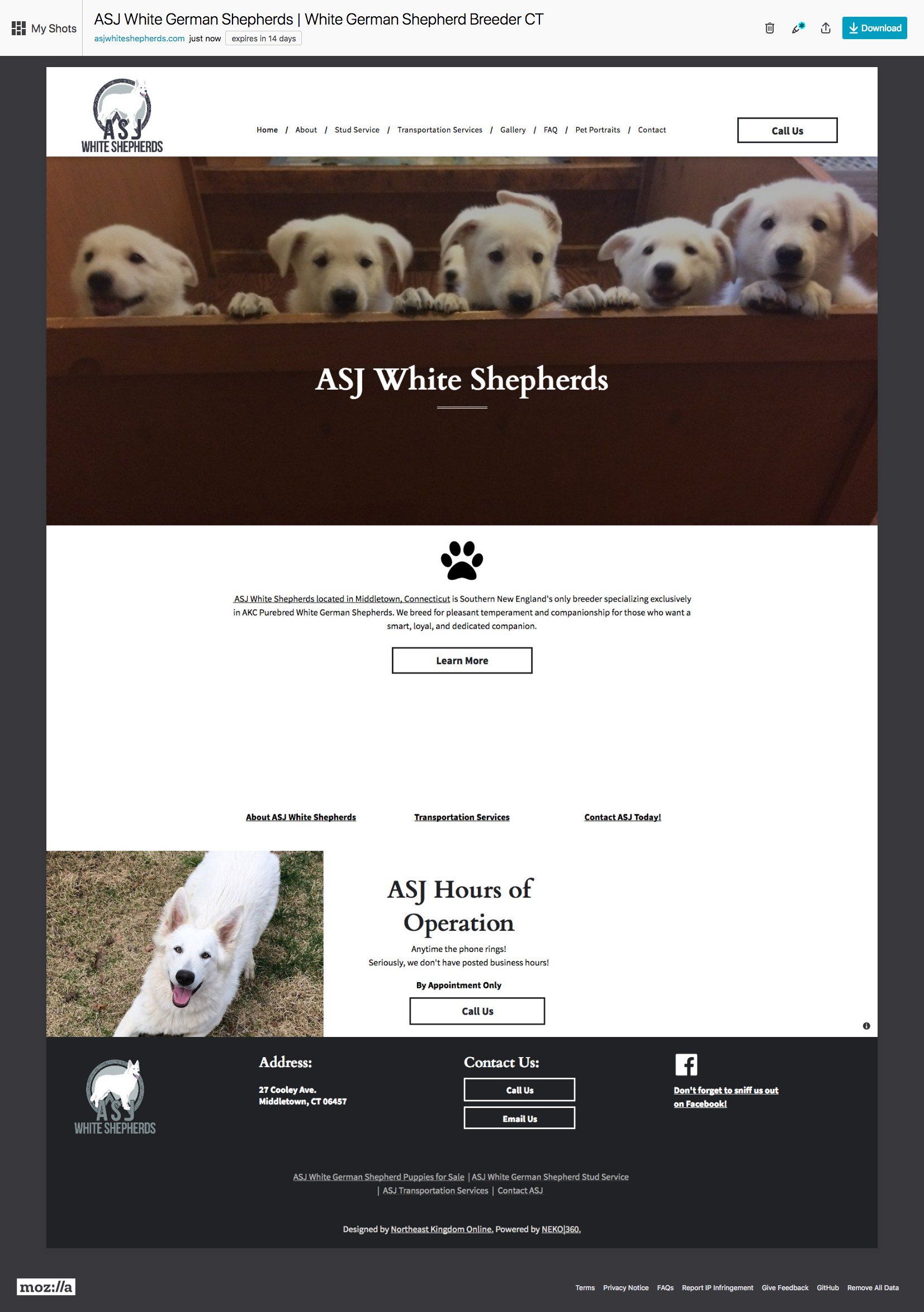 White Shepherd puppies looking over a wooden ledge. Website homepage with a black and white theme.