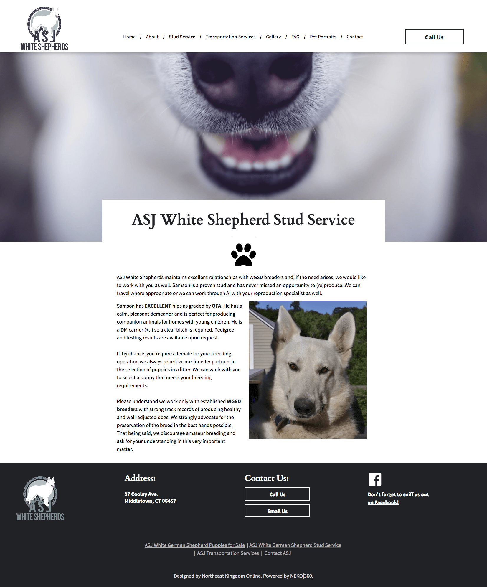 A website page for ASJ White Shepherd Stud Service, featuring a close-up of a white dog's nose and a portrait of a dog.