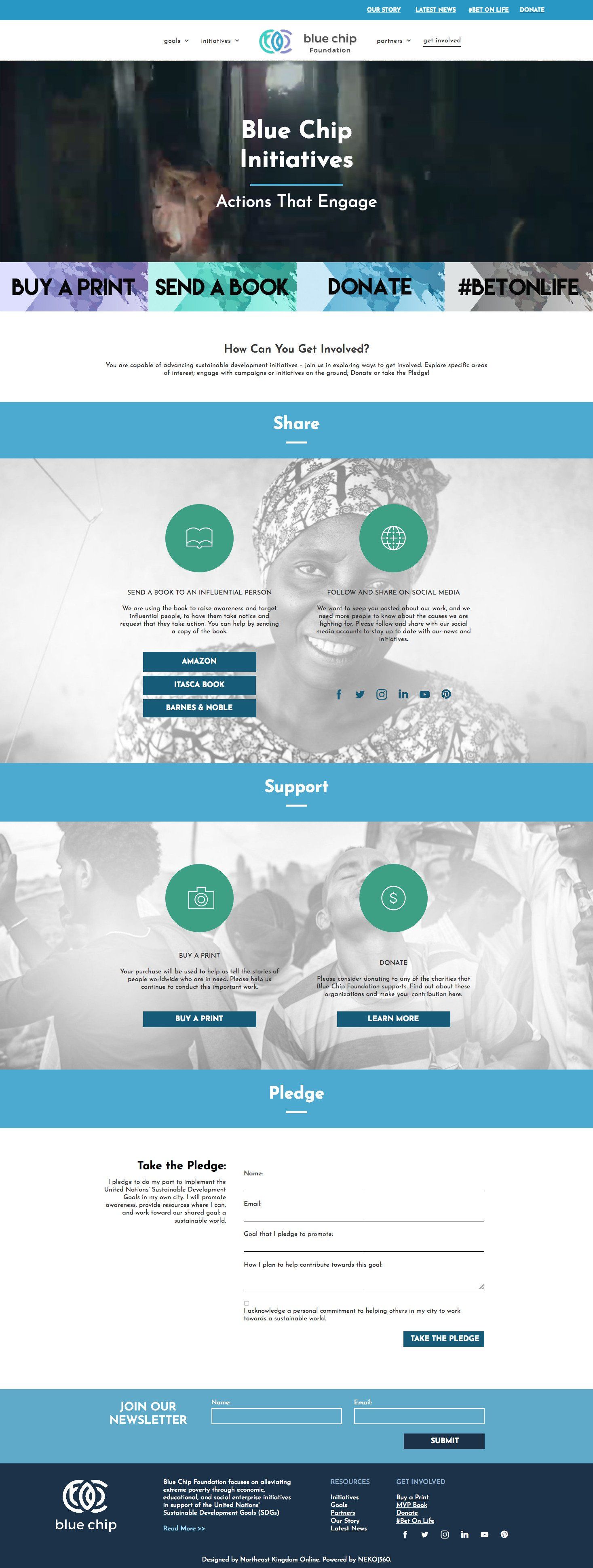 Website homepage for the charity 