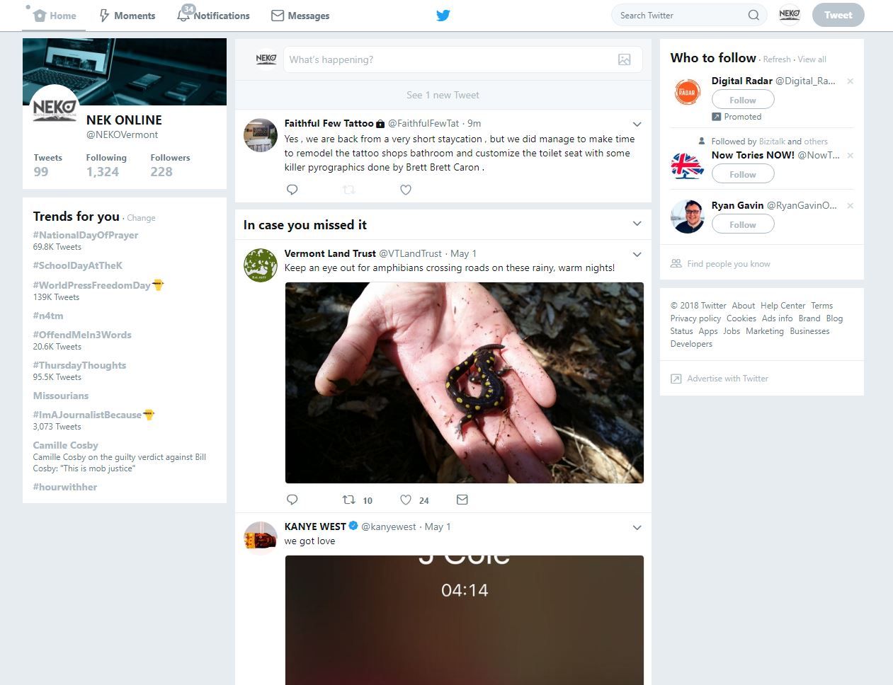Twitter feed: hand holding small, dark creature near water.