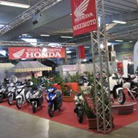 Modelli di moto in esposizione