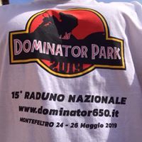 Maglietta raduno