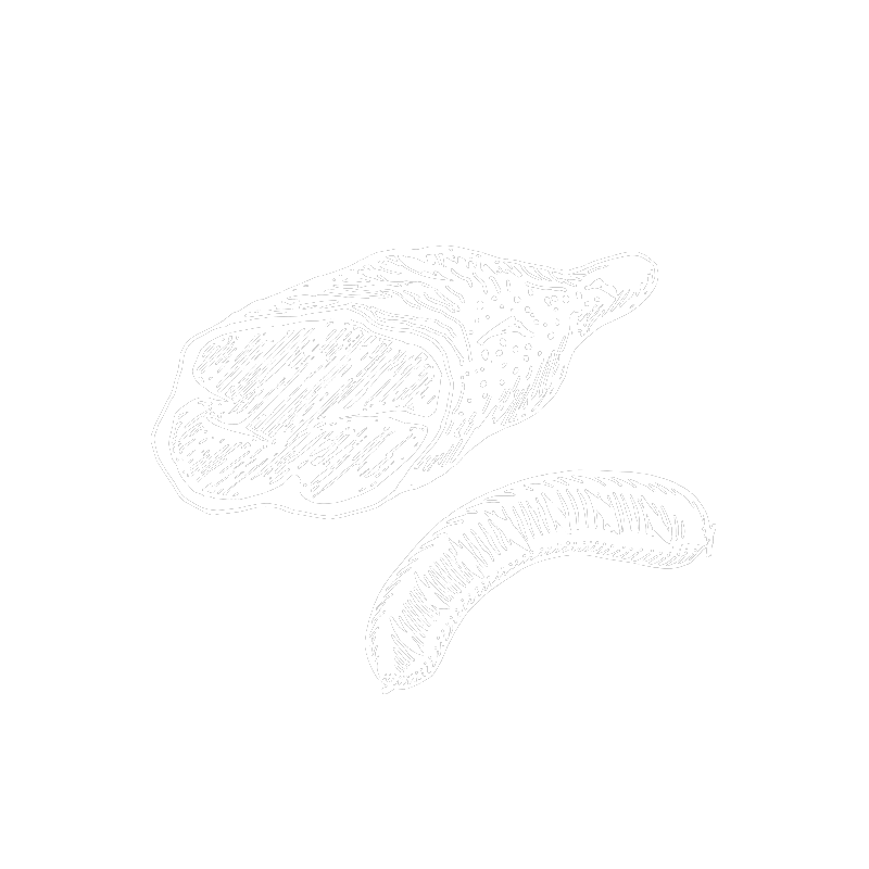 New Meat