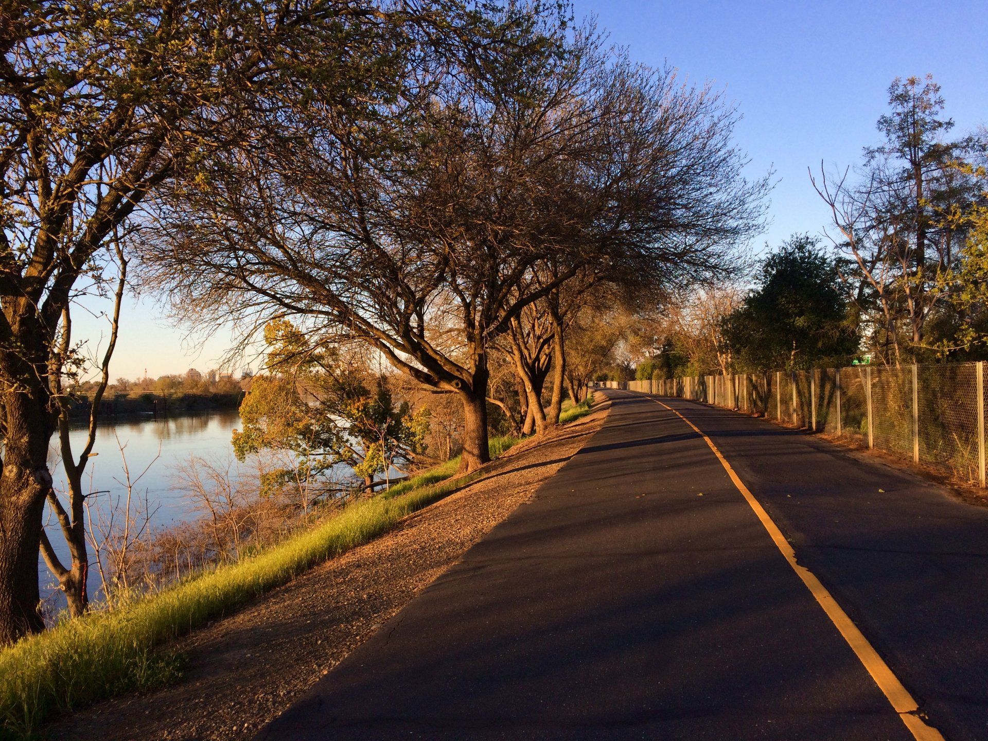 A road lined with trees on both sides and a river in the background