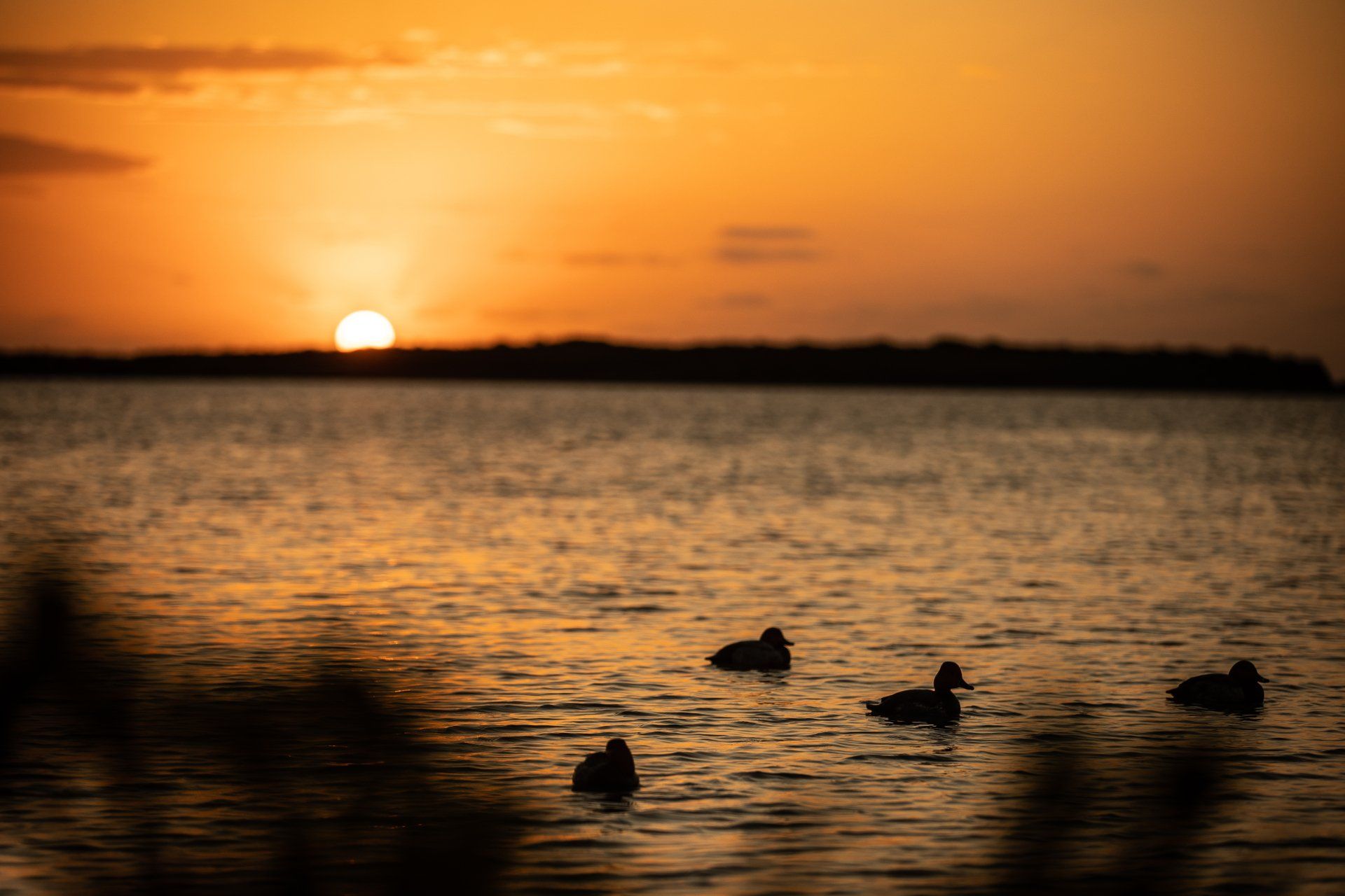 2021 Mexico Hunts