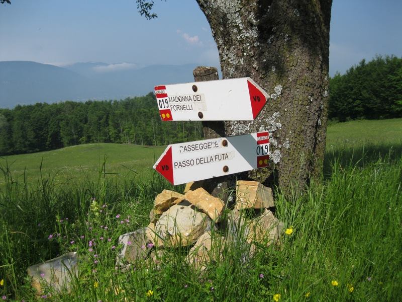 Due segnali direzionali sono attaccati a un albero in un campo