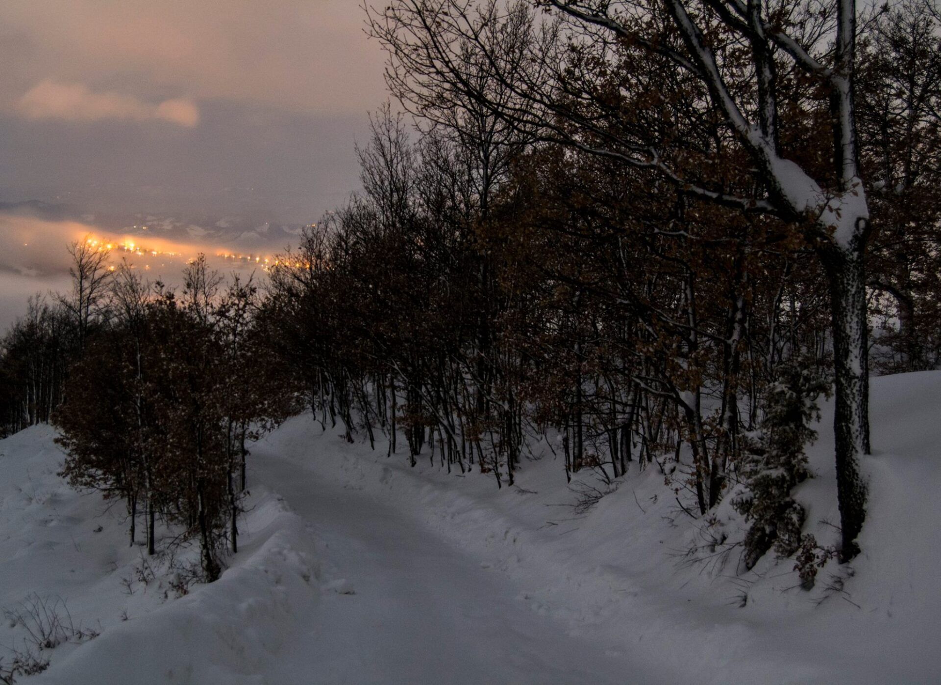 Una strada innevata con alberi ai lati