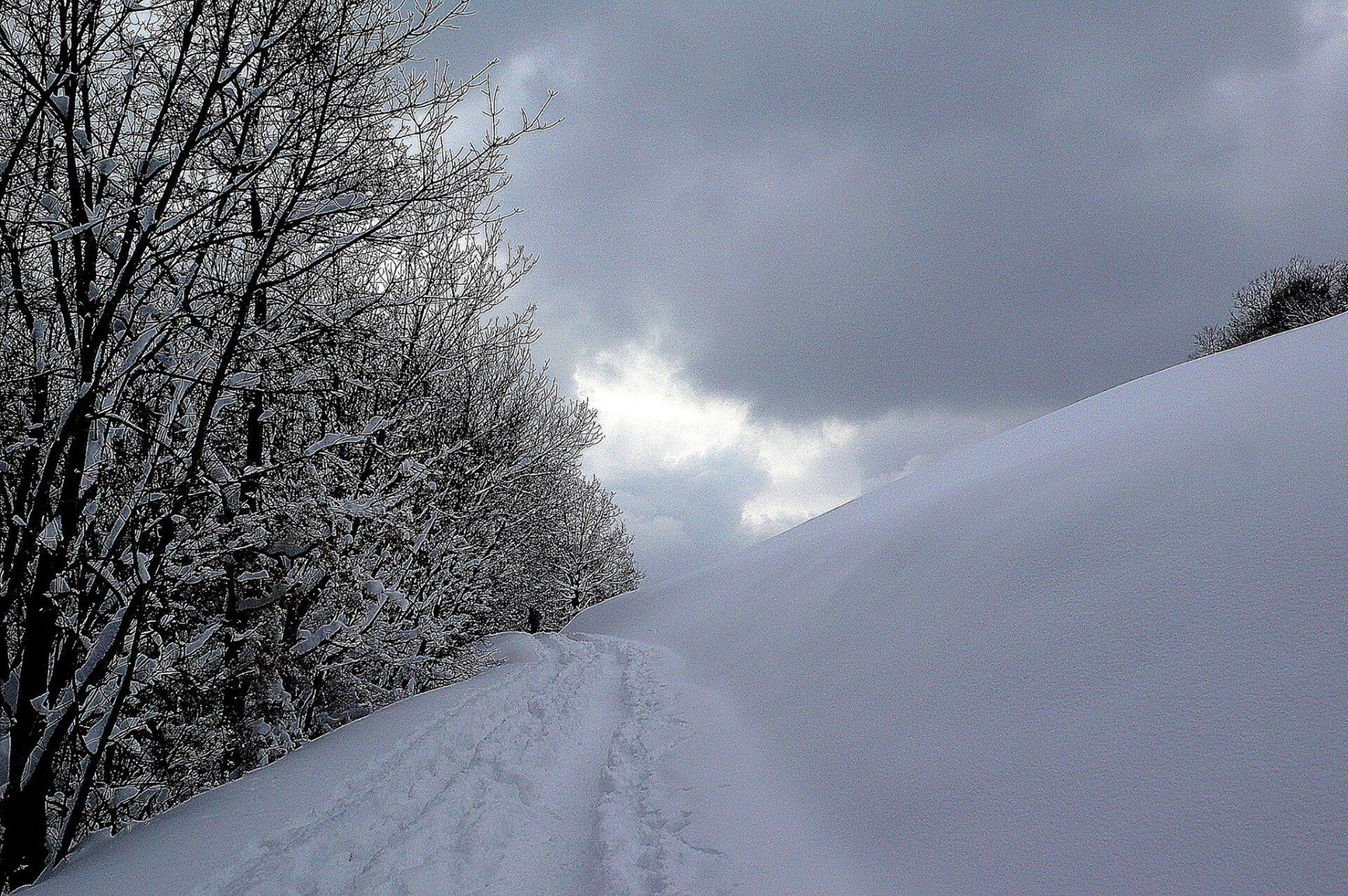 Una collina innevata con alberi sullo sfondo