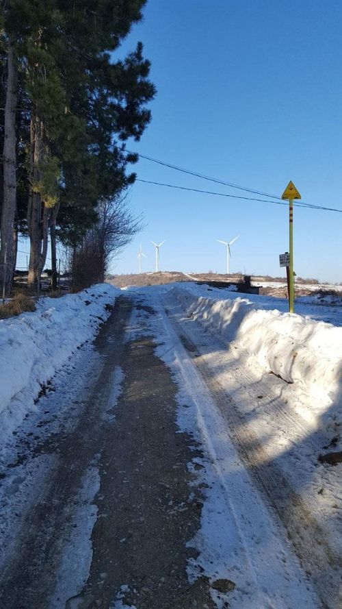 Una strada sterrata coperta di neve e alberi in una giornata di sole.