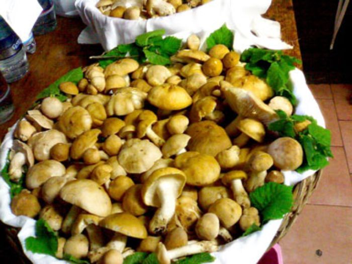 Un cesto pieno di funghi e foglie su un tavolo