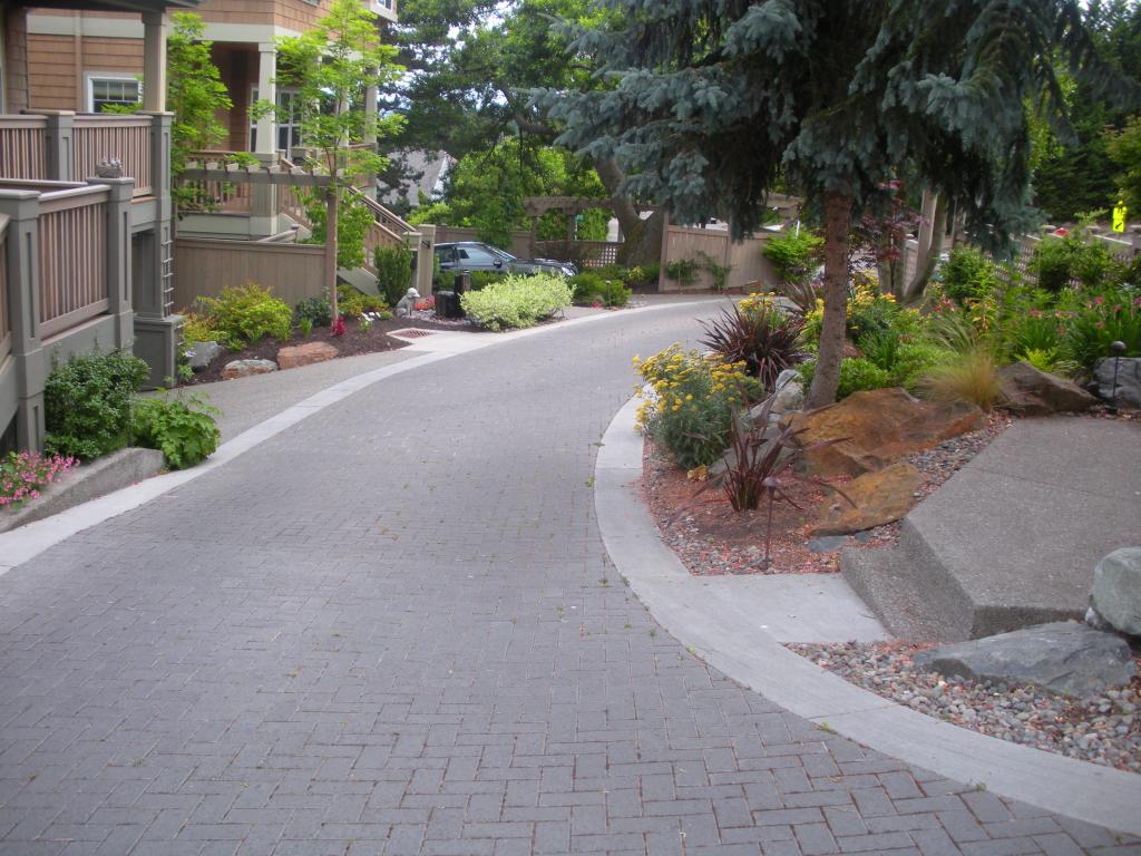 Driveway, Landscape Contractors