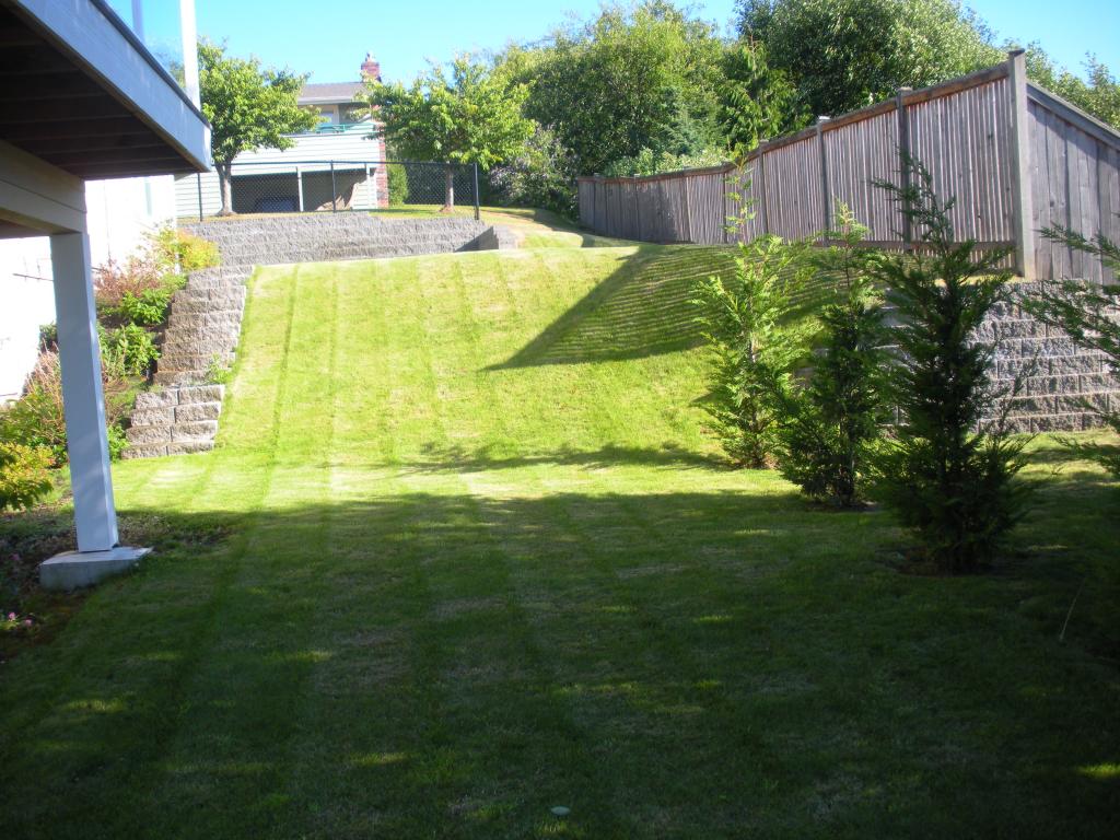 Landscaped Backyard, Landscape Contractors