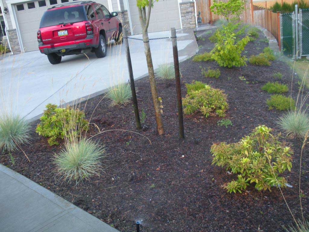 Sprinkler System, Landscape Contractors