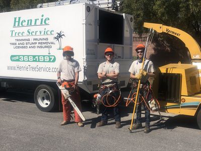 Las Vegas Arborist — Workers in Las Vegas, NV