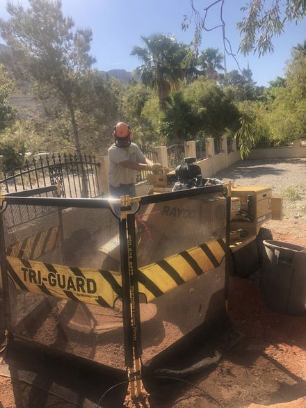 Stump Grinding — Las Vegas, NV — Henrie Tree Service
