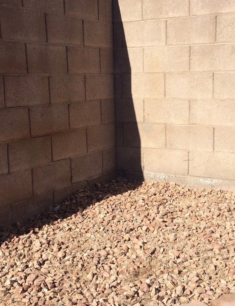 After Tree Service — Las Vegas, NV — Henrie Tree Service