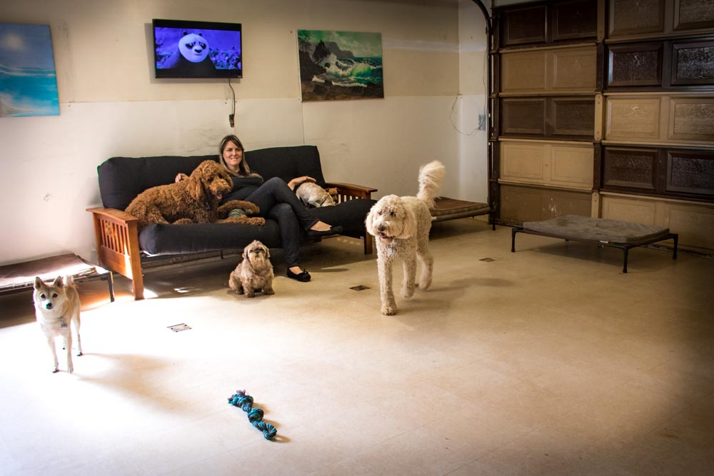 pet cuts vista dog play room